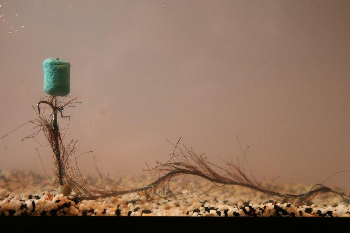 rig& baits !! - 255141047738562252542822878n.jpg